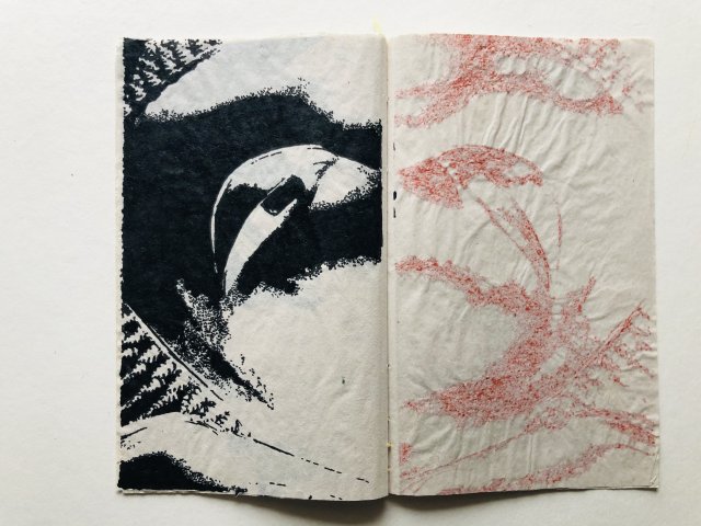 Alain Poussot SUI (6)