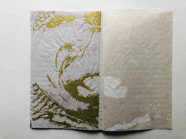 Alain Poussot SUI (8)