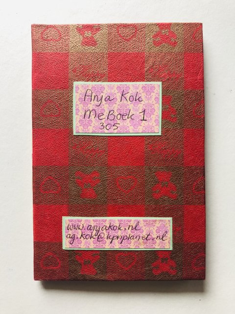 Anja Kok NL boek 1 (1)