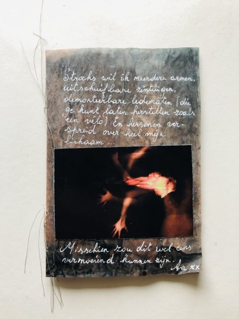 Ann Deceuninck BEL (1)