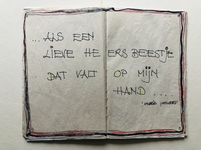 Anne Albers (7)