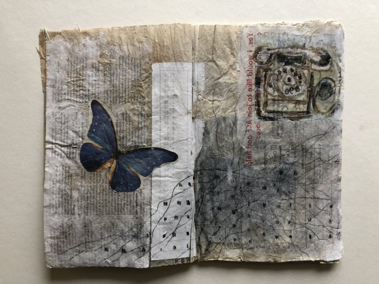 Anne Brems - Belgium (3)