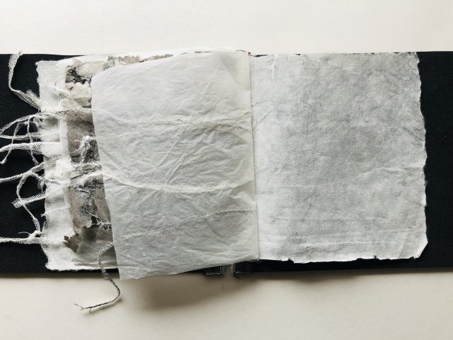 Annelies Jaminon (11)