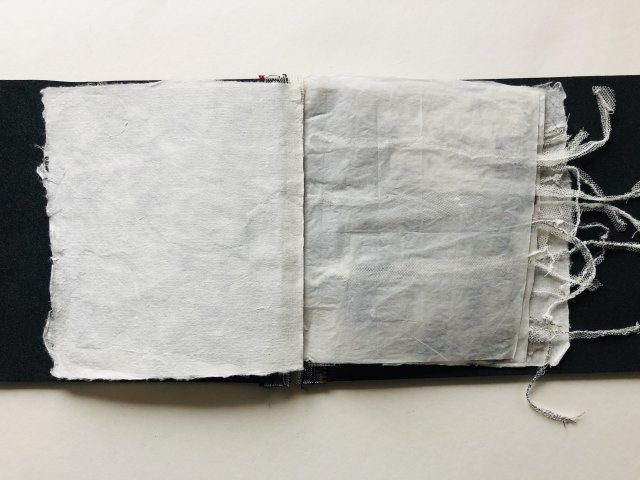 Annelies Jaminon (4)