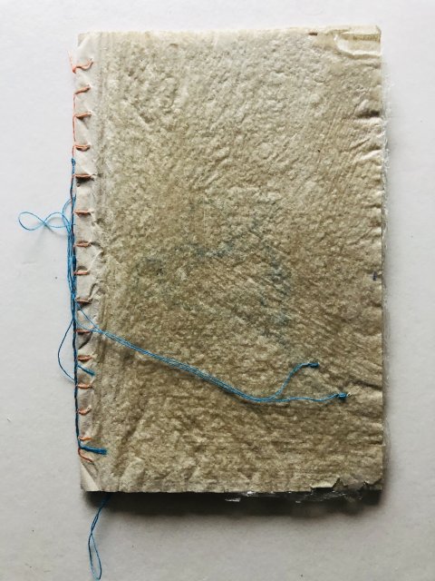 Annemiek Koolen (1)