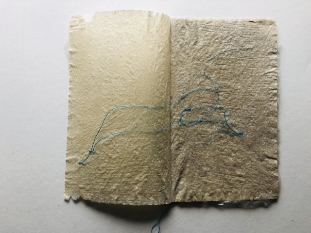 Annemiek Koolen (2)