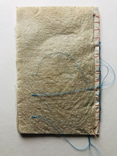 Annemiek Koolen (3)