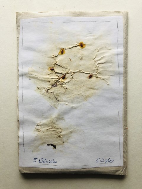 Brigitte Wallis GER (9)