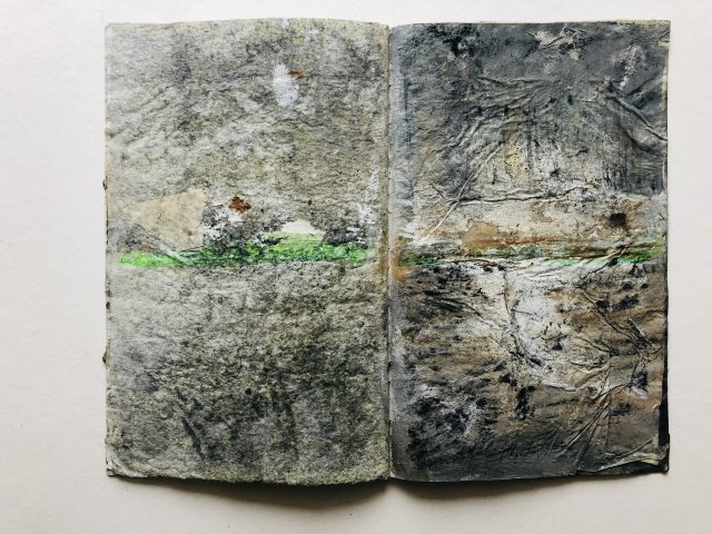 Carla Clevers (5)
