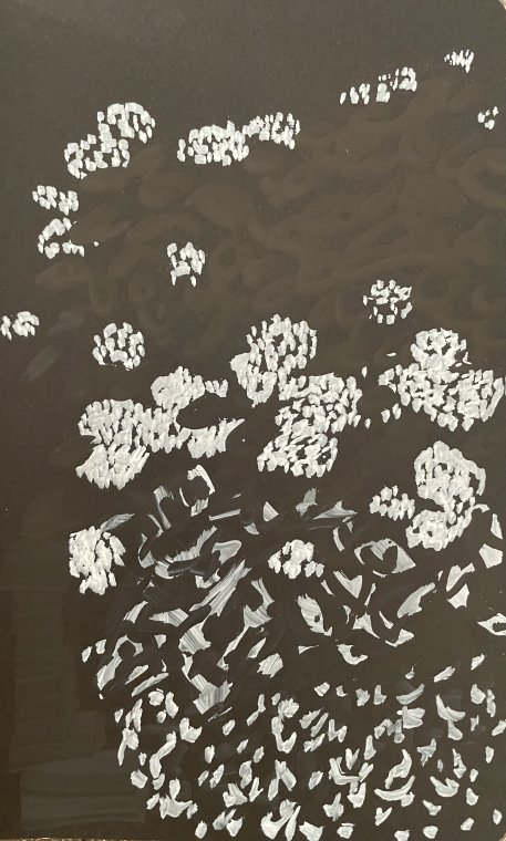 ED HANSSEN - DRAWING ON BLACK PAPER - CHALKMARKER - 2025 (12)