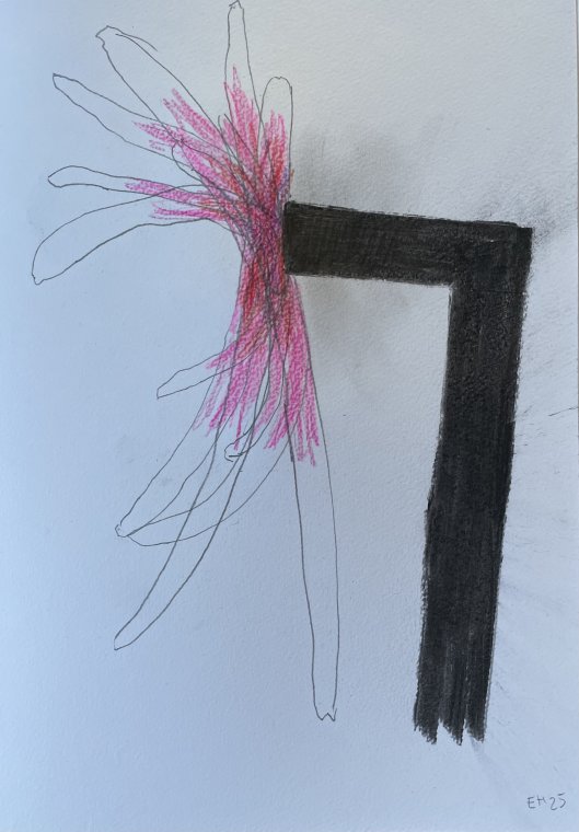 ED HANSSEN - DRAWING ON PAPER - 2025 (1)