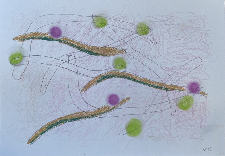 ED HANSSEN - DRAWING ON PAPER - 2025 (7)