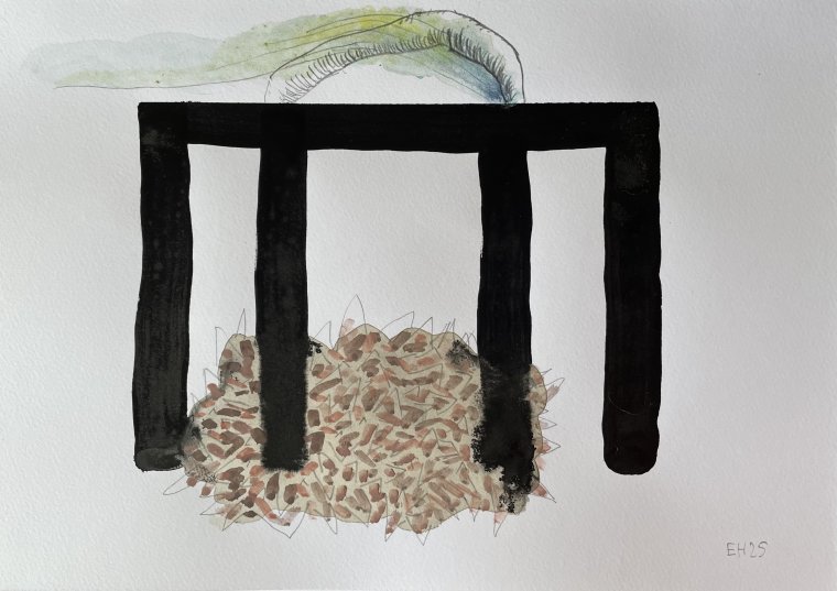 ED HANSSEN - DRAWING ON PAPER - A4 - 2025 (10)