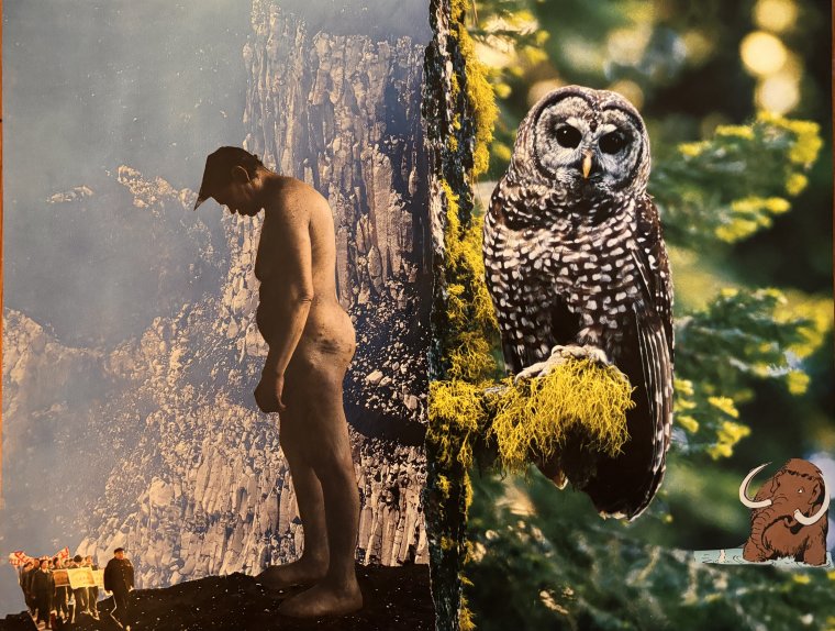 Ed Hanssen - Hm - collage - 2025