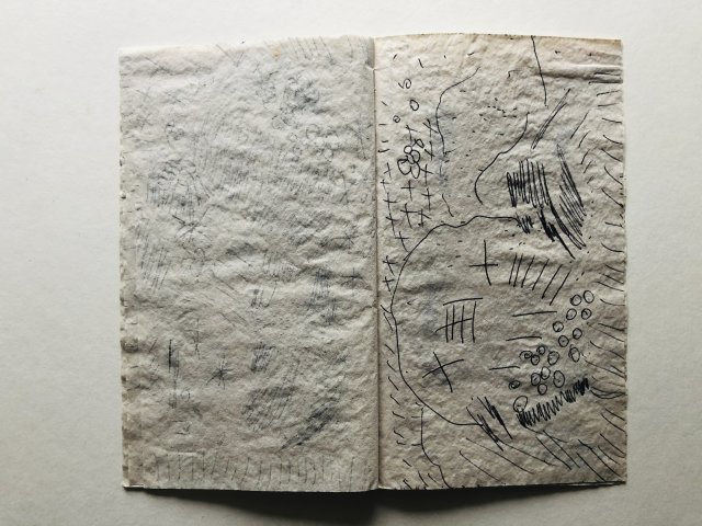 Jacqueline van de Venne (6)
